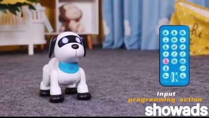 Remote Control Robot Dog Toy