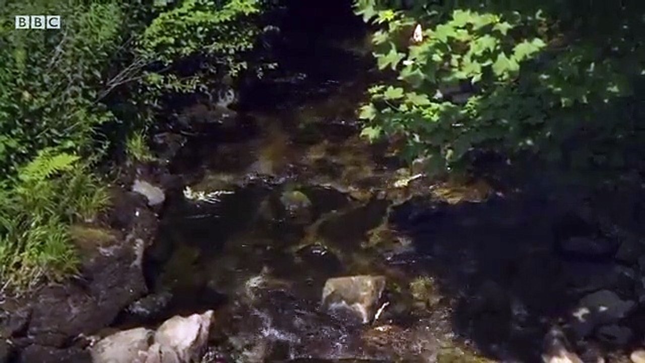 Requiem - Se1 - Ep05 HD Watch