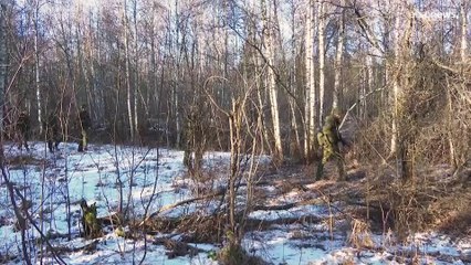 "Окас": учения эстонких резервистов