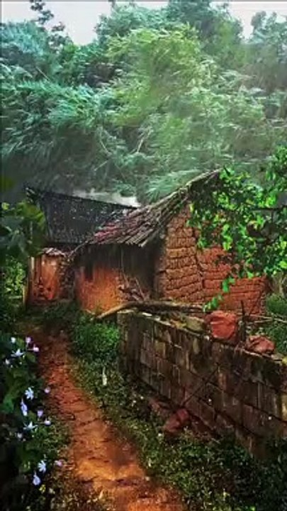 Amazing Relaxation With Rain Sounds