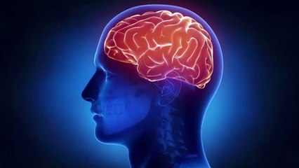 Amazing facts about human brain