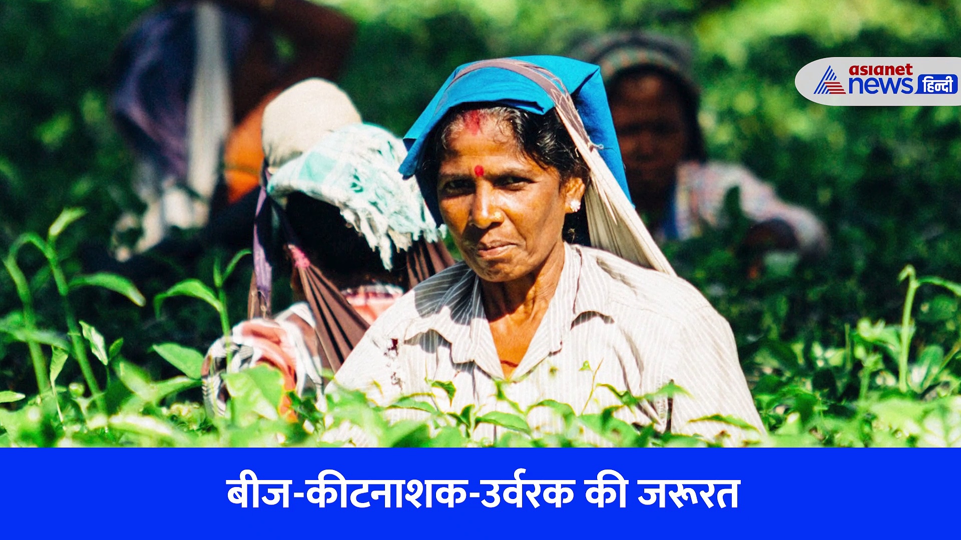 Budget 2023: इस बार के बजट से क्या चाहता है देश का किसान, देखें वीडियो...