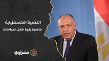 سامح شكري: القضية الفلسطينية حاضرة بقوة خلال المباحثات مع وزير خارجية أمريكا