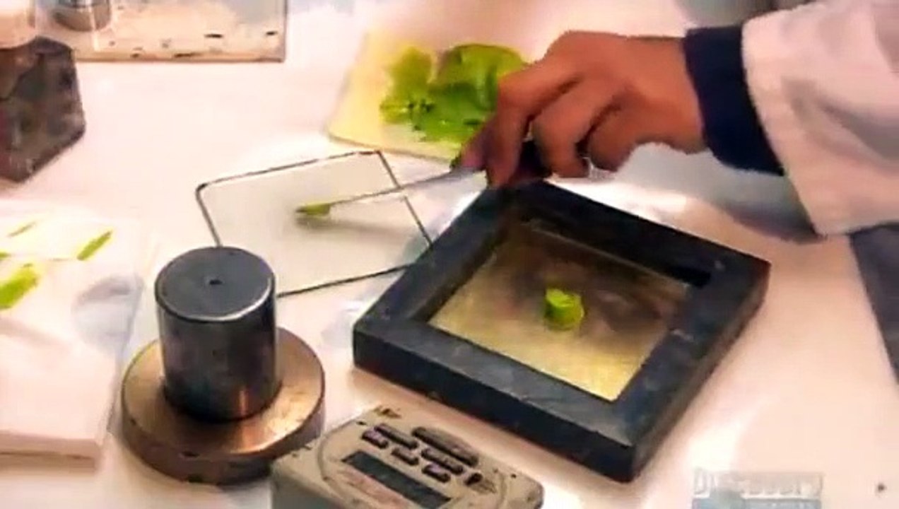 How It's Made - Se9 - Ep11 HD Watch