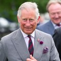 King Charles III keen to offer more public access to royal residences