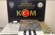 Şırnak'ta kaçakçılık, asayiş ve terör şüphelisi 49 kişiye işlem yapıldı