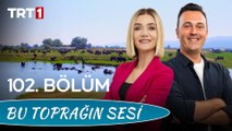 Bu Toprağın Sesi 102. Bölüm - Ülkemizde Manda Yetiştiriciliği