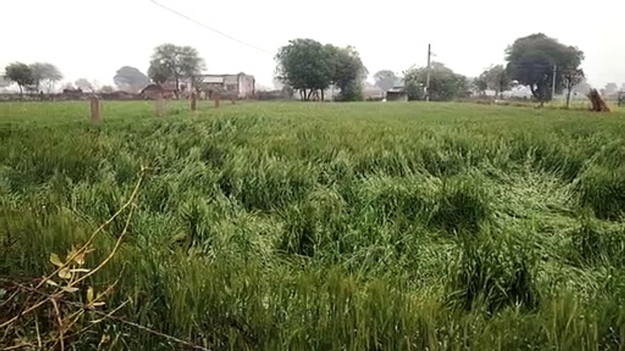 रात को झमाझम बरसे मेघ, पारा लुढ़का