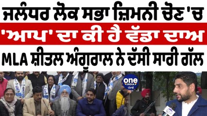 ਜਲੰਧਰ ਲੋਕ ਸਭਾ ਜ਼ਿਮਨੀ ਚੋਣ 'ਚ 'ਆਪ' ਦਾ ਕੀ ਹੈ ਵੱਡਾ ਦਾਅ MLA ਸ਼ੀਤਲ ਅੰਗੂਰਾਲ ਏ ਦੱਸੀ ਸਾਰੀ ਗੱਲ| OneIndia Punjabi