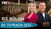 Bu Toprağın Sesi 103. Bölüm - Sığırlarda Tırnak Bakımı Ve Önemi