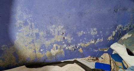 ‘House of horrors’: Dad stuck sleeping in mouldy living room after liver transplant