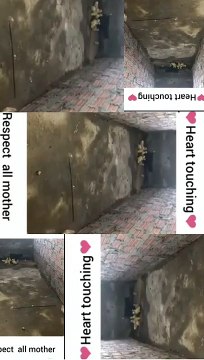 69fe8500-66e2-4303-84cb-a94bf55abe52