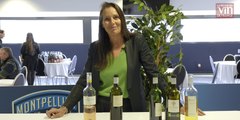 Challenge Millésime Bio 2023 : 6 vins coups de cœur à découvrir sur le salon