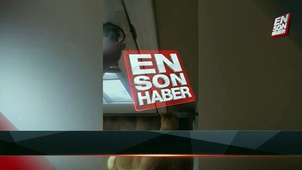 Kar yağdığını fark edince dışarı çıkmak istemeyen kedi