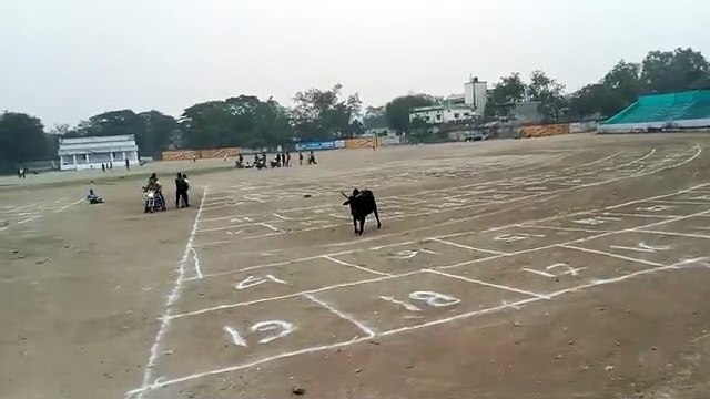 गुप्ता ग्राउंड पर दुकानों के लिए हुआ लेआउट, 2 से शुरू होगा आवंटन