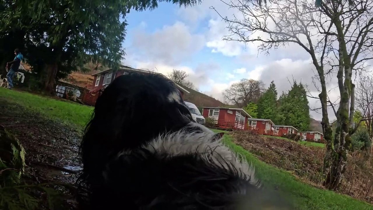 5k Loch Goil Dog Cam
