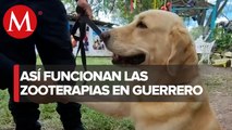 En Guerrero, policía ofrece terapia con animales a menores con discapacidad