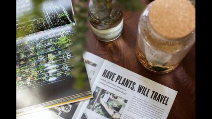 Boho Minimal Home | Greenery-filled Interiors | Inner Beauty