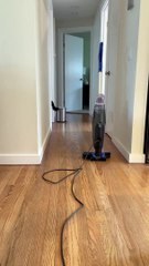 Dog Faces Her Worst Fear