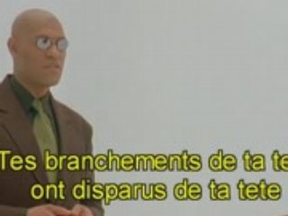 mozinor traduction sous titrages