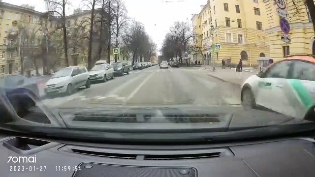 Des corbeaux utilisent le passage piéton pour traverser... bien éduqué