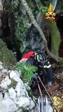 Cane finisce in una voragine profonda 45 metri: salvato dai vigili del fuoco