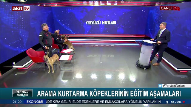 Arama kurtarma köpeklerinin eğitimleri ne kadar sürüyor?