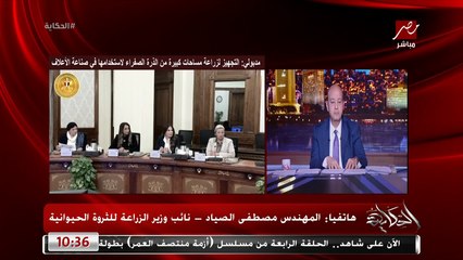 ليه منافذ وزارة الزراعة بتبيع الدواجن والبيض والمنتجات ارخص من المحلات؟.. م. مصطفى الصياد يوضح