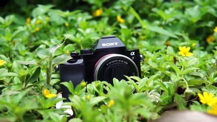 Kamera Fullframe Termurah Saat Ini: Apakah Layak Dibeli? Review Sony A7 Classic 📸