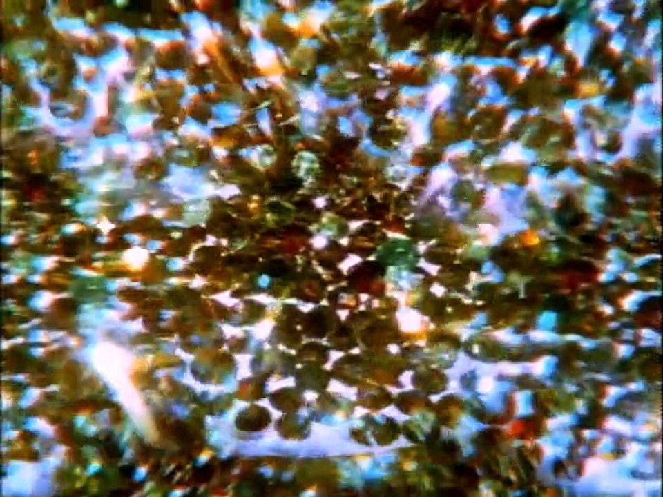 Lieber Onkel Bill Season 2 Ep 30