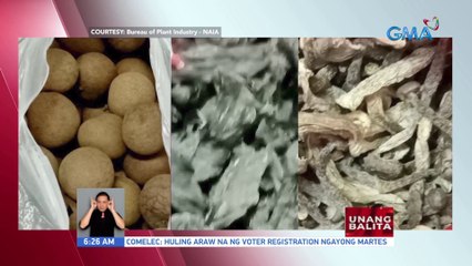 Mga gulay, prutas, at karne na dala ng ilang pasahero sa NAIA, kinumpiska | UB