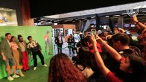 Así se vivió la alfombra verde por el estreno de ‘Las Aventuras de Maurice’ || Wipy TV