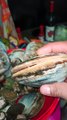 almeja reyna blanca gigante marisco fresco patas de mula ostiones molusco receta de cocina #mukbang #playa #mar