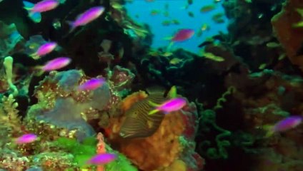 New budget airline will fly 17 routes across three states