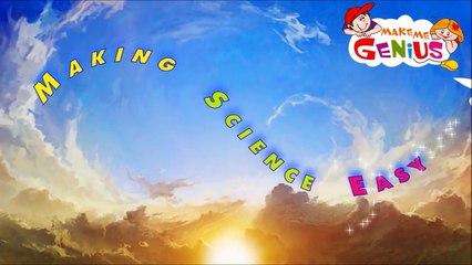 Parts of Respiratory System - Quick look