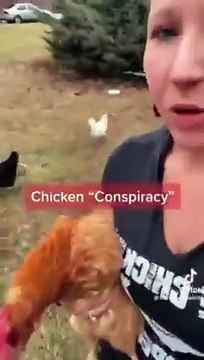 The government has been altering chicken feed so chickens stop laying eggs could they do this to us-