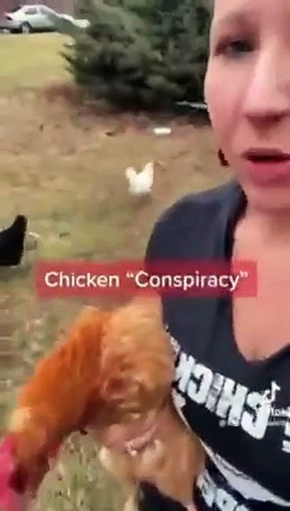 The government has been altering chicken feed so chickens stop laying eggs could they do this to us-