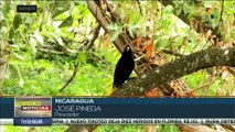Nicaragua: El Archipiélago de Solentiname atesora una gran diversidad natural