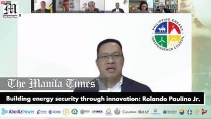 Building energy security through innovation: Rolando Paulino Jr.