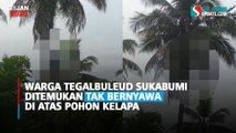 Warga Tegalbuleud Sukabumi Ditemukan Tak Bernyawa di Atas Pohon Kelapa