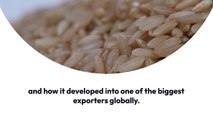Why India Is A Leading Spices And Rice Exporter? | Foodsy Exports