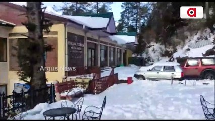 Watch: Shimla Receives Fresh Snowfall