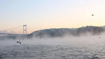İstanbul Boğazı'nda gemi trafiği çift yönlü durduruldu