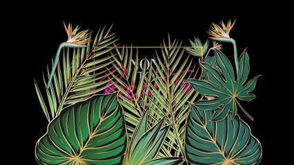 Dnars   Nona Top Beauty Entrepreneur