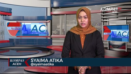 Dua Anggota Ranger Terluka di Serang Harimau