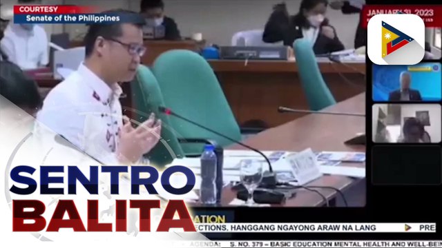 Kakulangan ng guidance counselors sa mga paaralan, kabilang sa mga natalakay sa pagdinig ng Senado sa panukalang Basic Education Mental Health and Well-being Promotion Act