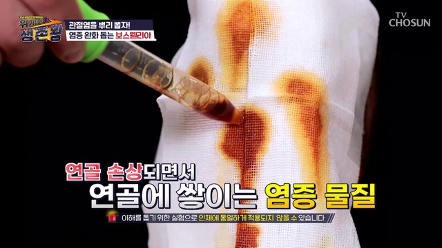 미국국립보건원에서도 관절 건강 기능성을 인정한 효자템 TV CHOSUN 230131 방송