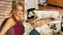 Yalnız yaşayan kadının sır ölümü! İçeri giren ekipler köpeğini başında buldu