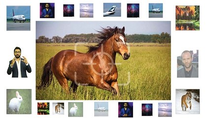 Why We Can't Focused In Worries  In اردو हिन्दी