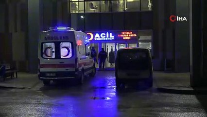 Van'da Köpek Saldırısına Uğrayan Küçük Çocuk Hayatını Kaybetti!